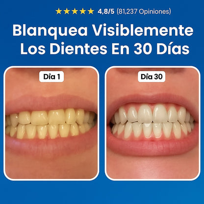 LapizDental® Nudenta Reparación Odontológica – Escudo Dental Avanzado