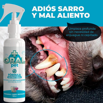 Pethn™ Dile Adiós Al Sarro - Limpieza bucal para mascotas con envío gratis 🎁